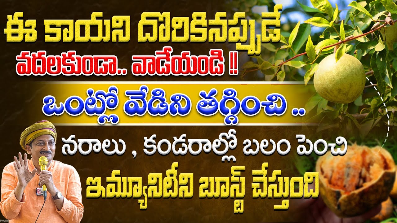ఒంట్లో వేడిని తగ్గించి ..నరాలు , కండరాల్లో బలం పెంచి ఇమ్యూనిటీని బూస్ట్ చేసే కాయ | Dr.Ravivarma