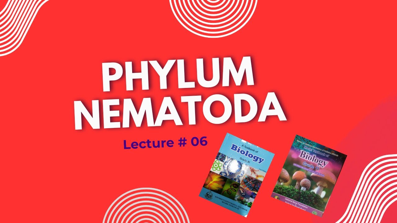 Phylum Nematoda | Characteristics & Classification | Zoology / Biology Lecture| FSc I 