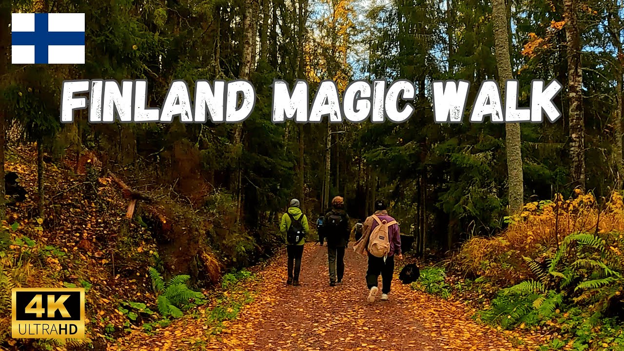 The Most Magical Autumn Walk in Finland Nature 🍂🍁🌲✨
