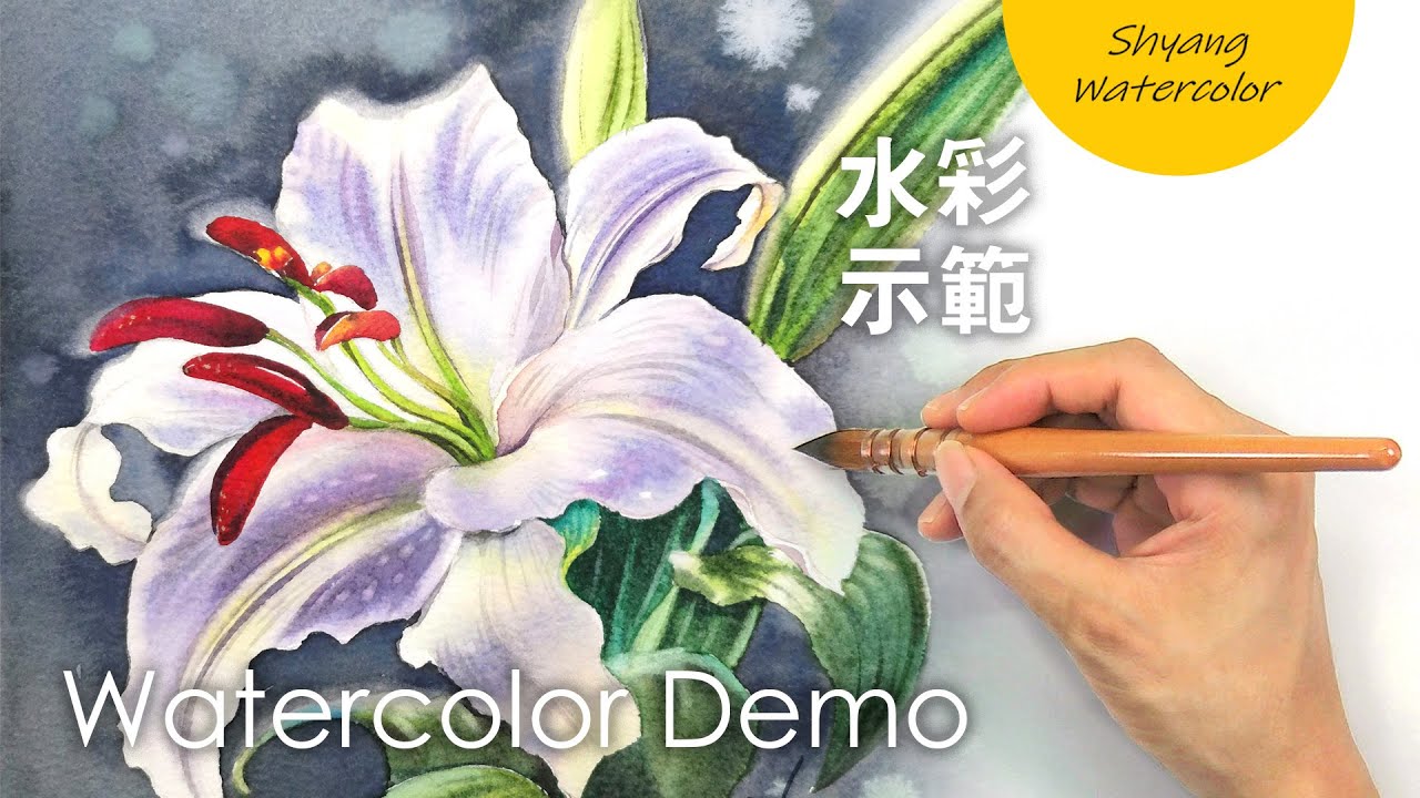 【百合花的水彩画法】干湿结合法 | 水彩示范 | 陈熙翔水彩