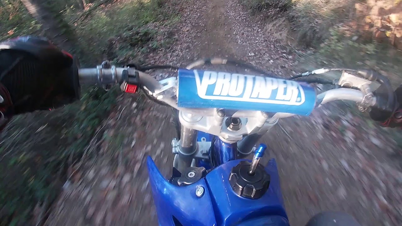 125 CR et 80 YZ en forêt