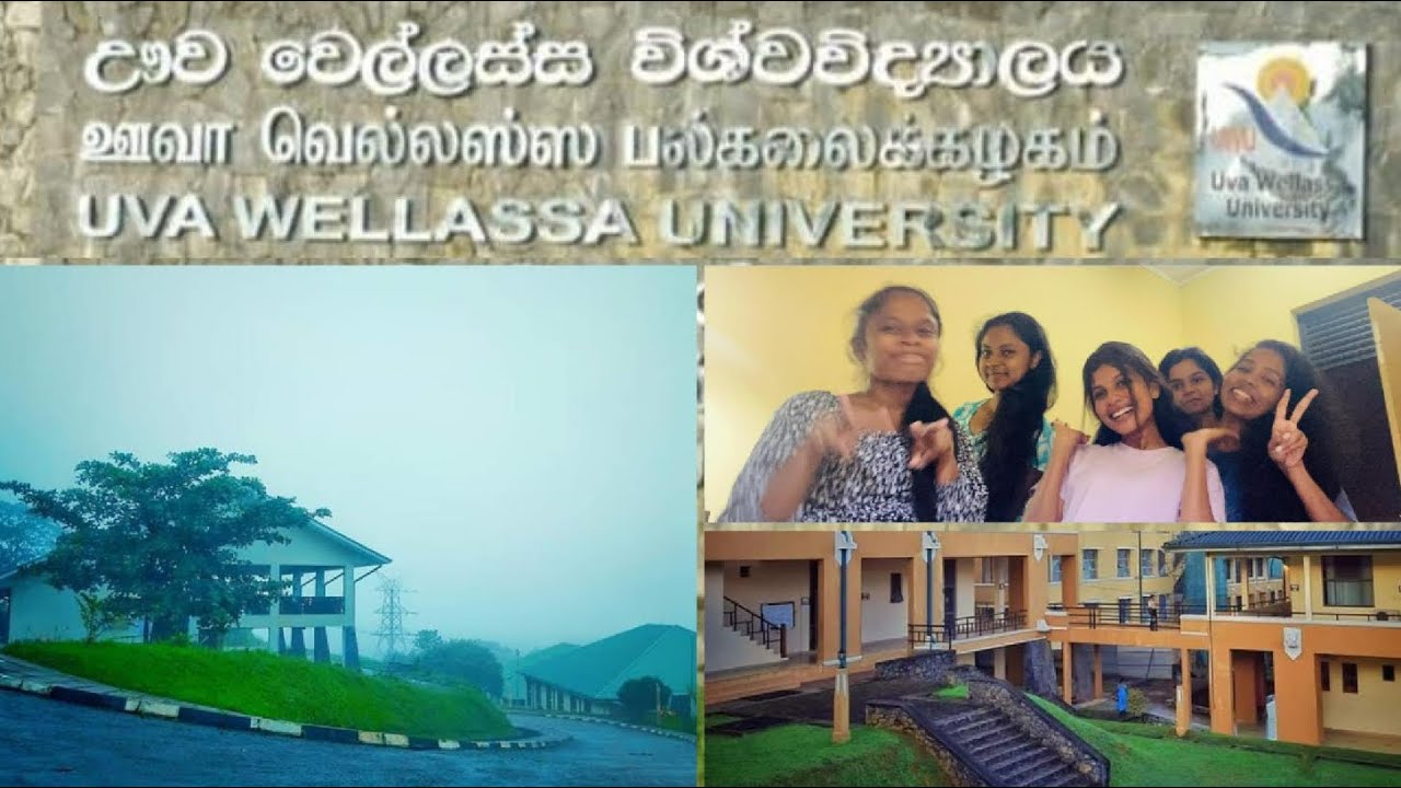 අළුතෙන් කැම්පස් එන නංගිලා මල්ලිලාට /බඩු ලිස්ට් එක/හොස්ටල් ගැන😃♥️ #uwawellassa #campus #university