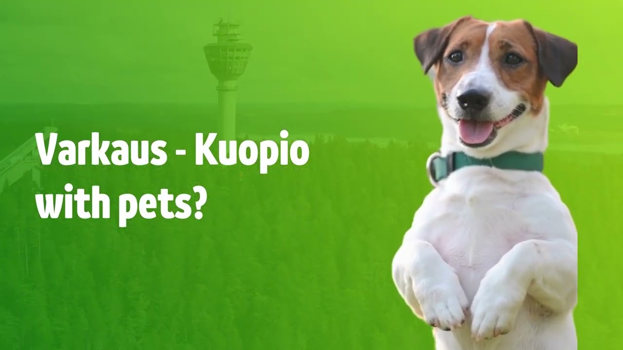 🐾 Pets travel comfortably in Savonia!