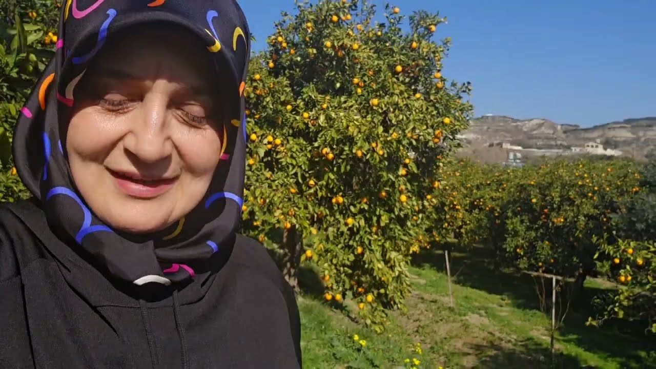 PORTAKAL BAHÇELERİ SAMANDAĞI / HATAY SAMANDAĞI