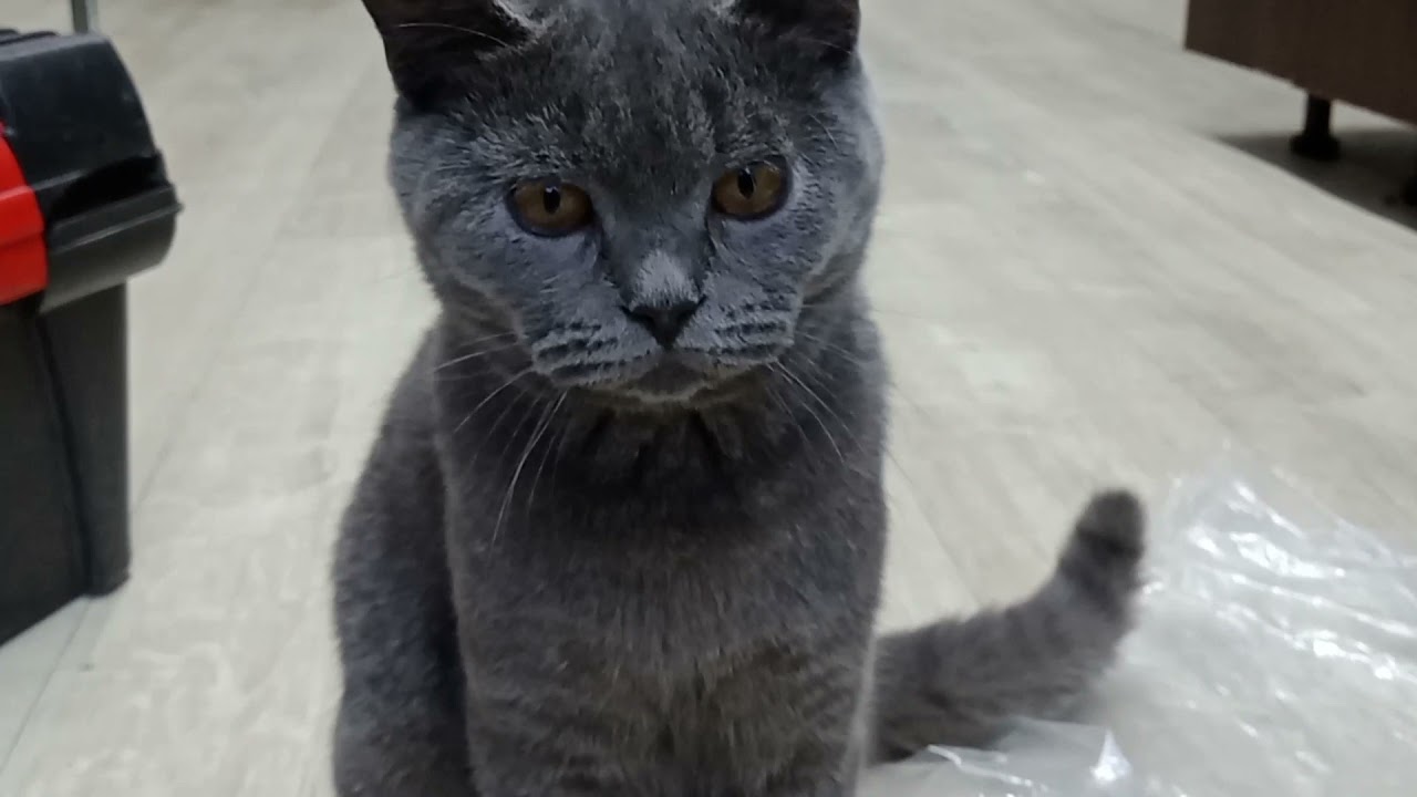 Холодильник Samsung       No frost, не работает оттайка замена тэна.