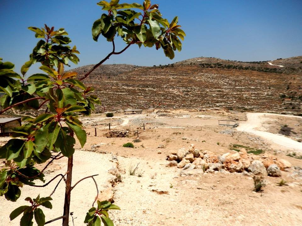 Shiloh in Israel: the Site of the Tabernacle
