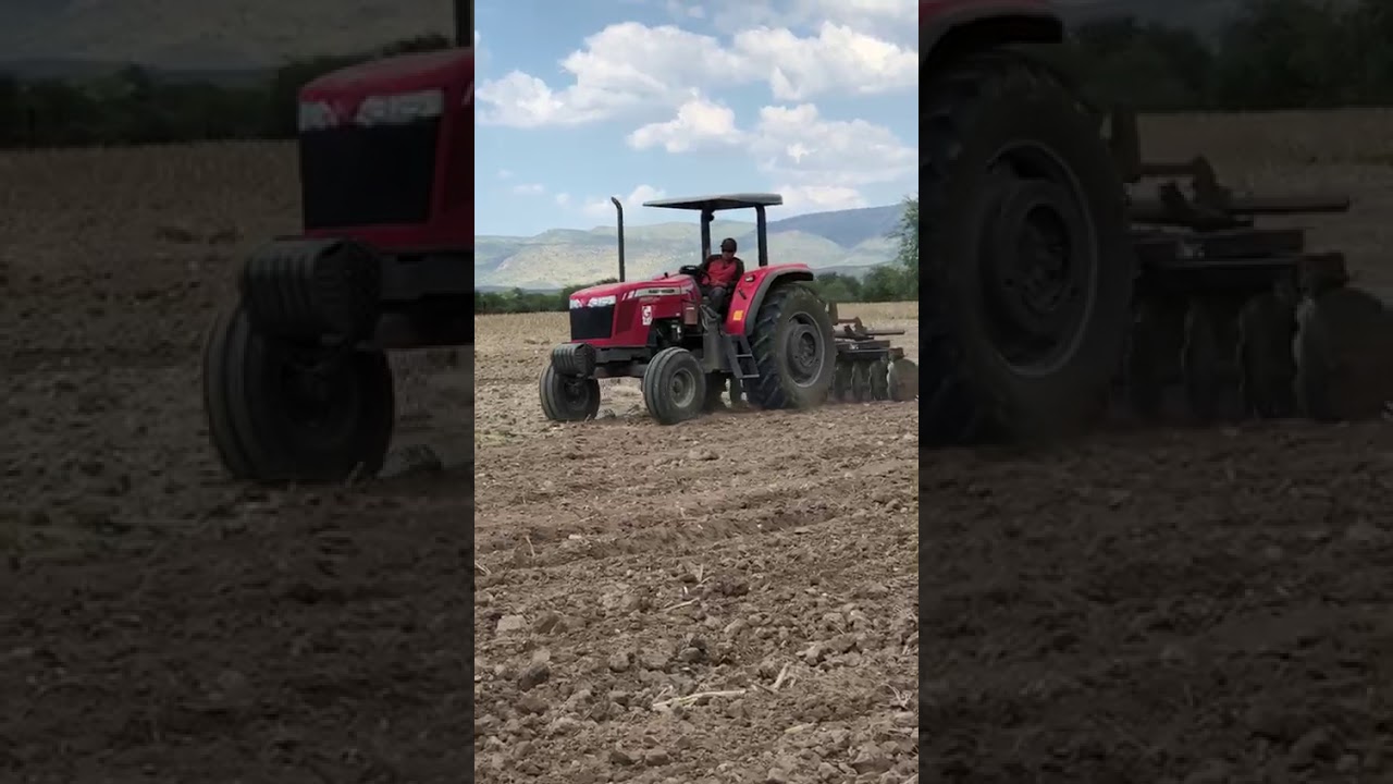 Puro Massey Ferguson 2680 turbo y285 clásico 2018 sembrando frijol en seco