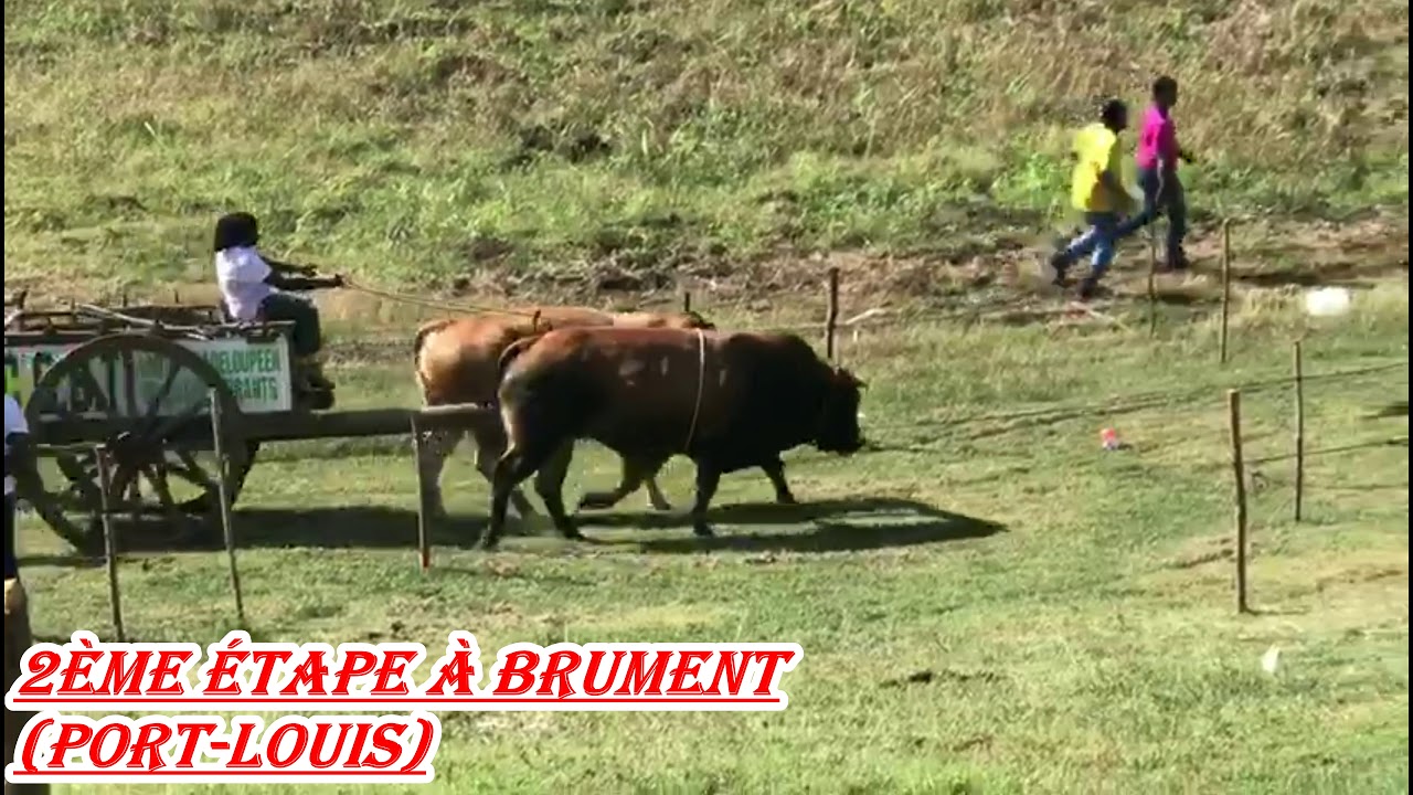 kanté kraké au championnat 2018 catégorie minimes