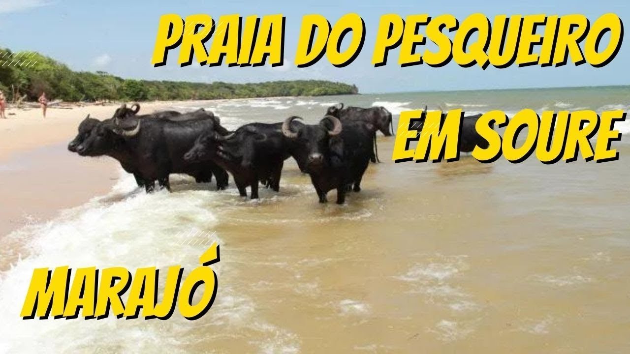Chegamos na praia do pesqueiro em Soure no Maraj;o