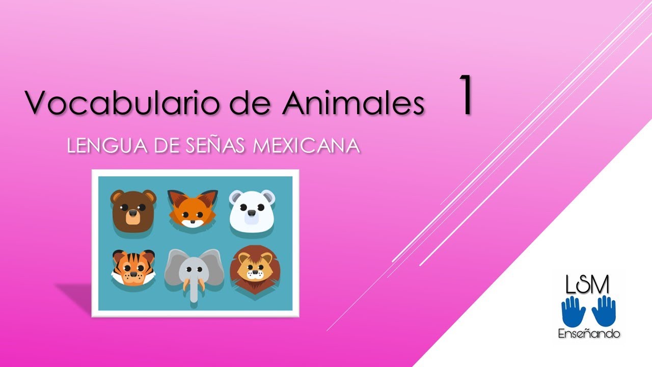 Vocabulario de Animales 1 LSM