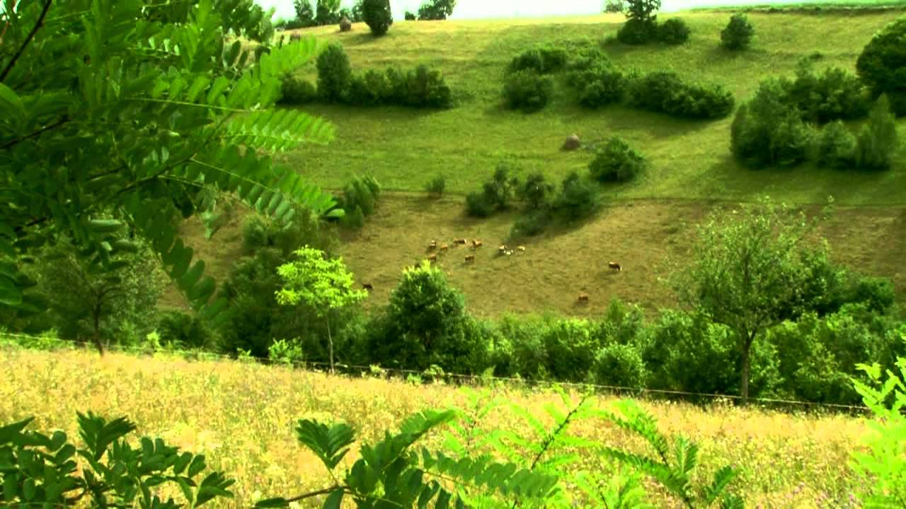 Defileul Lăpuşului - Elemente de peisagistica