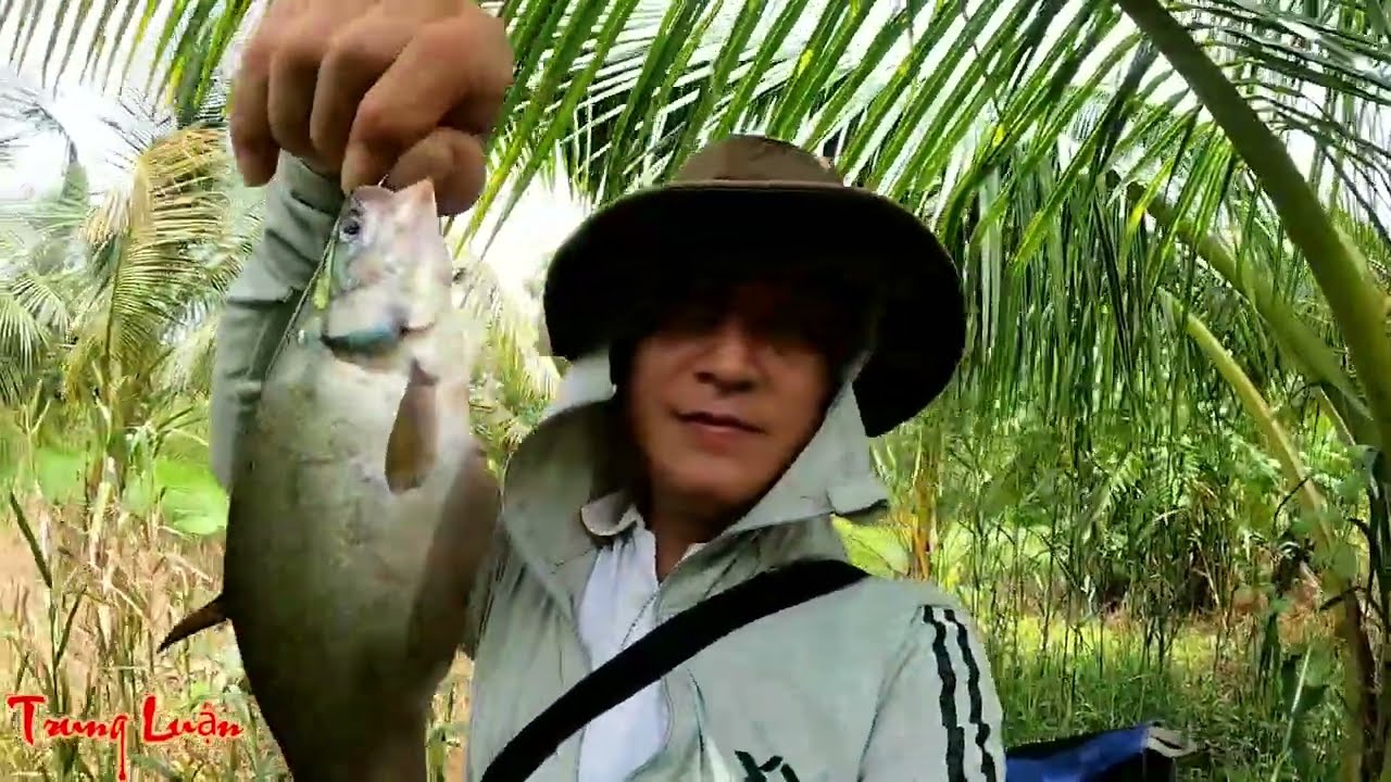 TRUNG LUAN | Câu cá hanh: Bắt đầu năm mới với may mắn