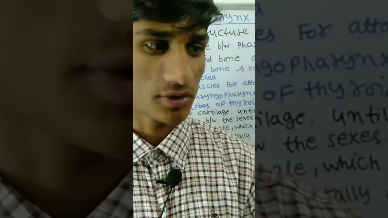 Rima glottis (Respiratory system)Vocalcord #education #science   #anatomy #medical #nursing #biology