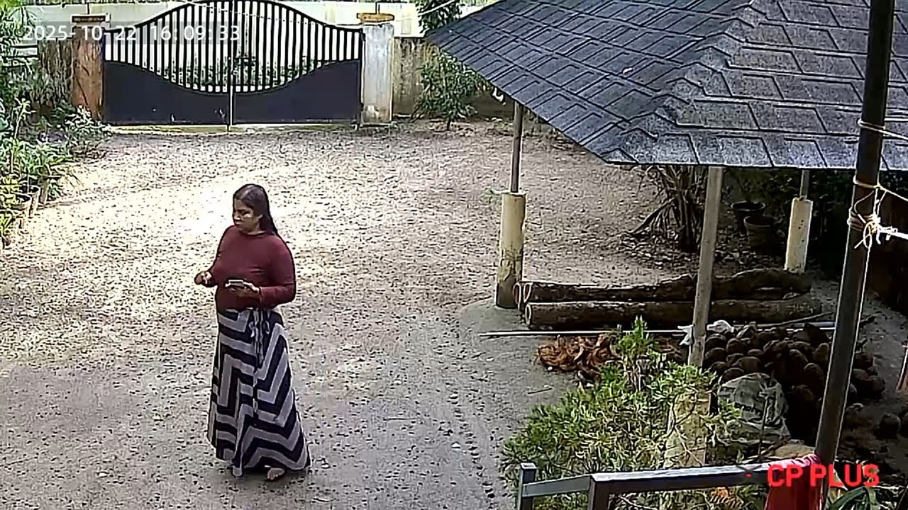 4 ужасающих события, в которые никто бы не поверил, если бы они не были записаны