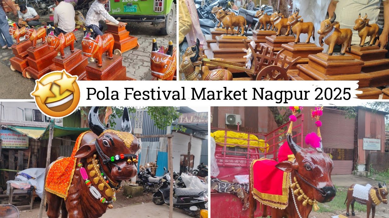 Traditional Pola Festival Celebration In Nagpur 2025 🐂 😆 || lakdganj Market Kam Price Me 🤩