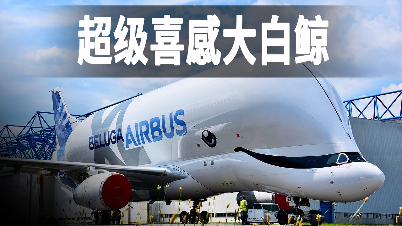 世界上最大的運輸機之一空客大白鯨XL，自帶喜感的飛機，一眼看上去就愛了