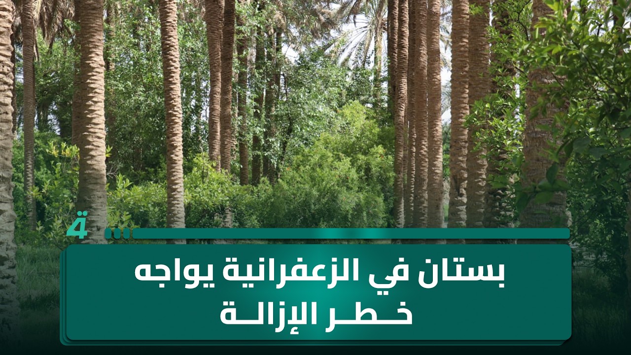 بستان في الزعفرانية يواجه خطر الإزالة وسط مطالبات بإنصاف ساكنيه