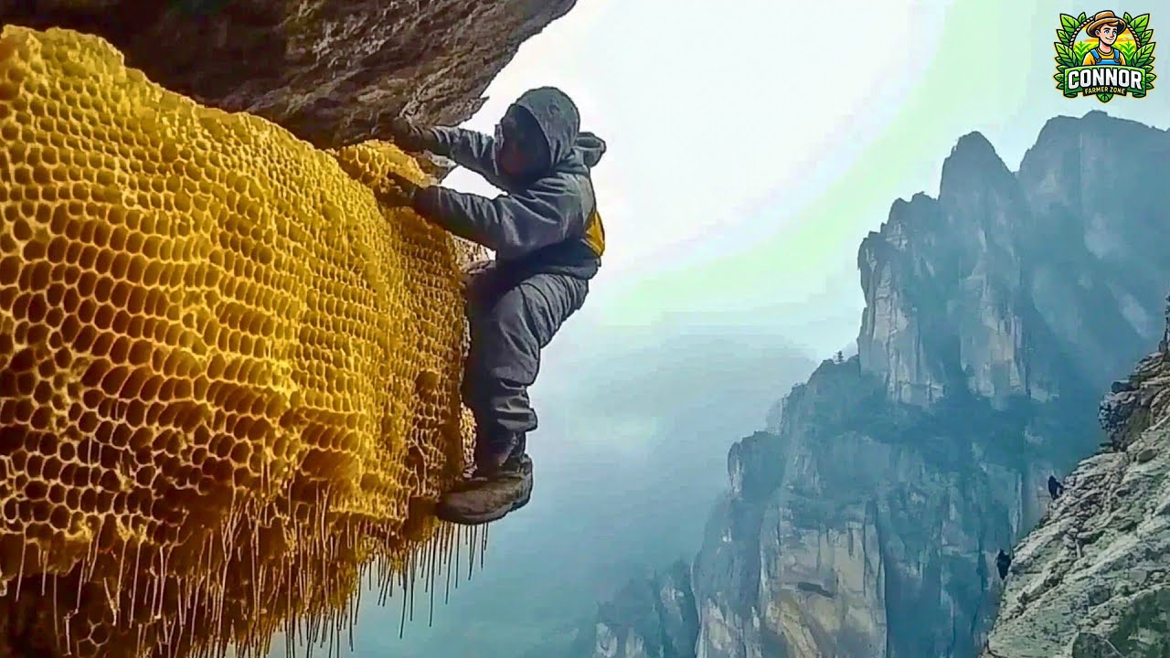 The Deadly Quest for Red Honey Inside the World's Most Dangerous Harvest