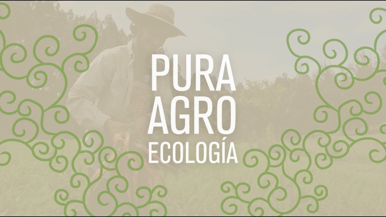 PURA AGROECOLOGÍA