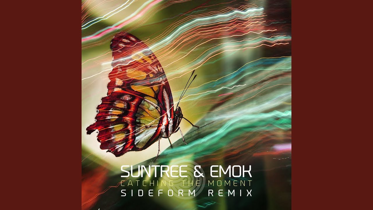 Catching the Moment  (Sideform Remix)