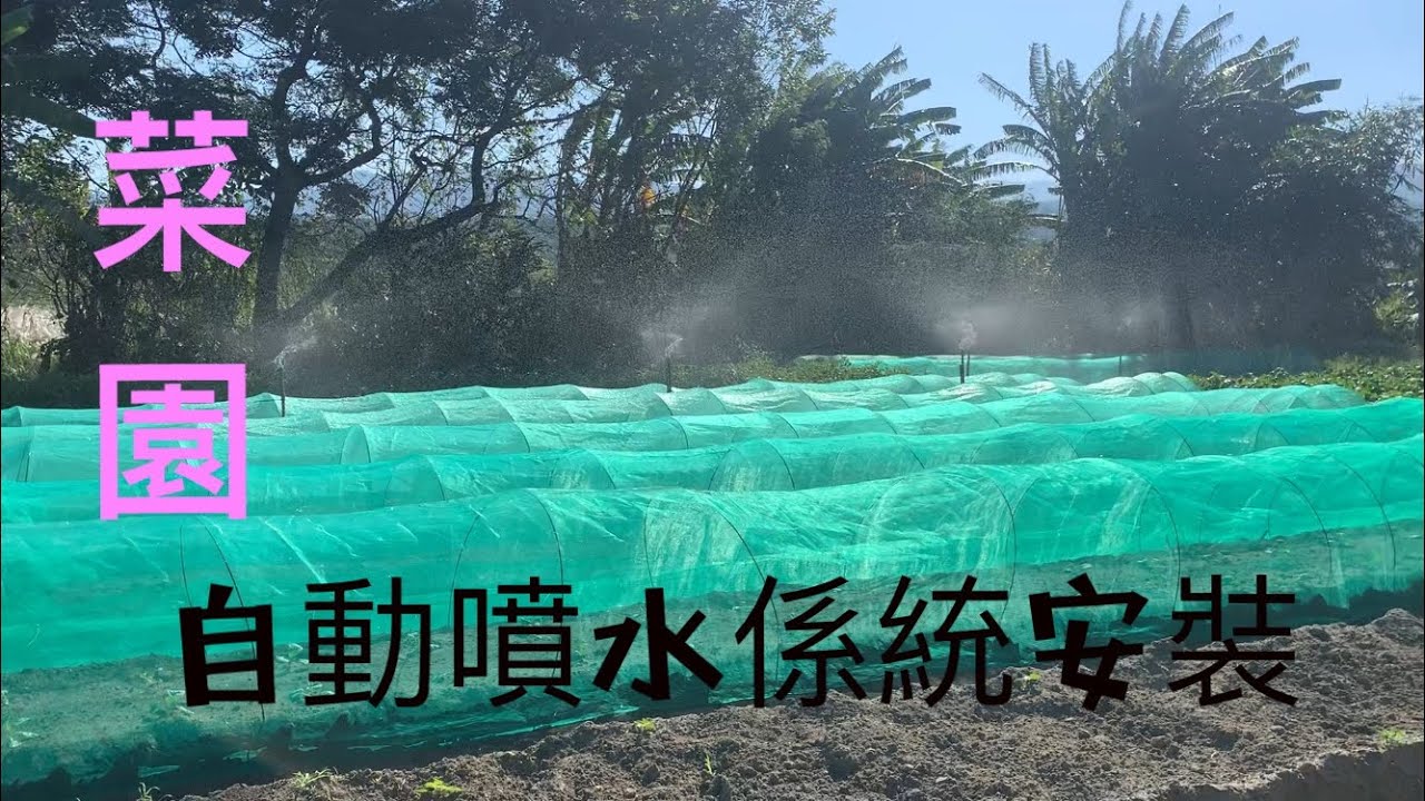 自動噴水係統安裝～菜園管路組裝～輕輕鬆鬆種到漂亮蔬菜