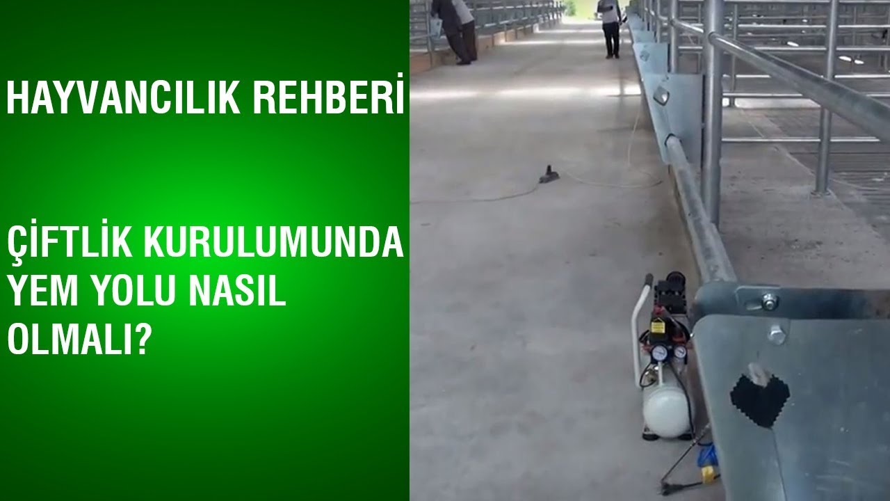 Hayvancılık Rehberi - &Ccedil;iftlik Kurulumunda Yem Yolu Nasıl Olmalı?