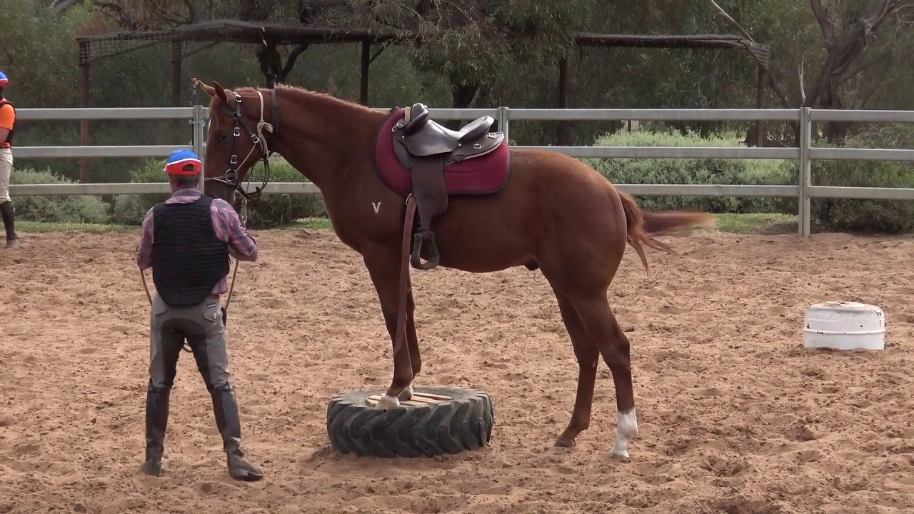 McEvoy Mitchell Racing Breaking In Documentary.