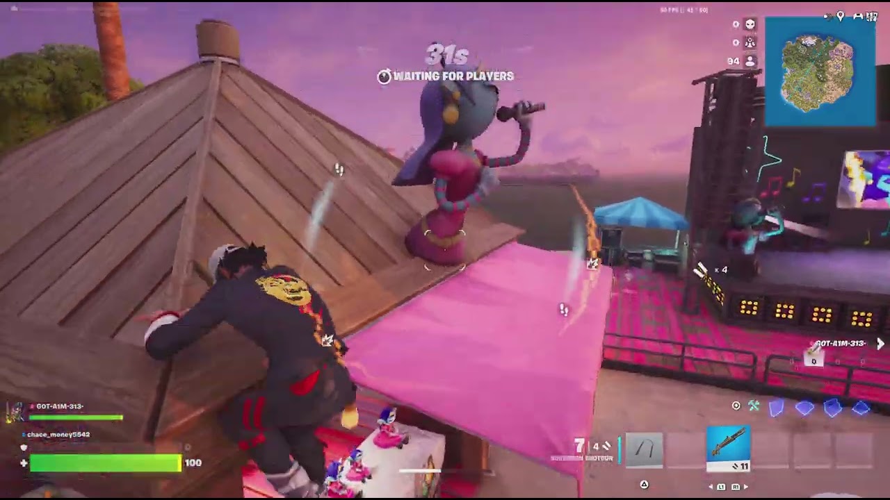 Fortnite wit cam