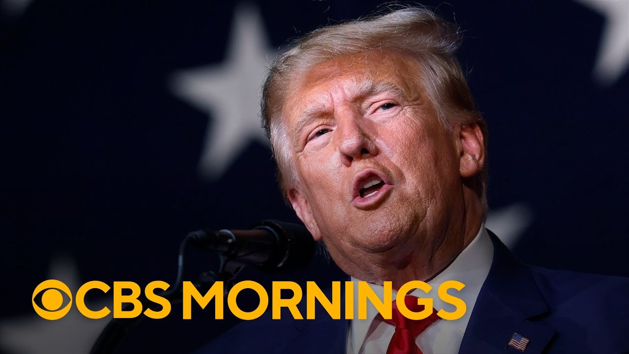 New book investigates Trump and the Georgia election interference probe