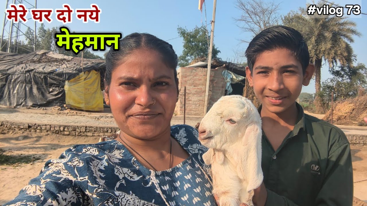 मेरे घर आए दो नए मेहमान || Sadhnaariyari 