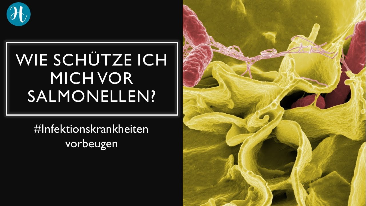 Wie sch&uuml;tze ich mich vor Salmonellen?