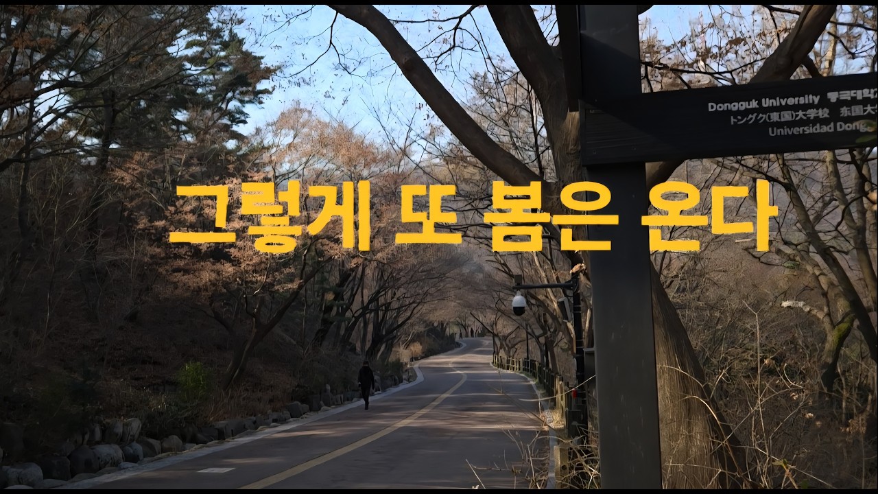 또 봄은 오고 사람도 오고 가네 #봄 #남산 #귀거래사