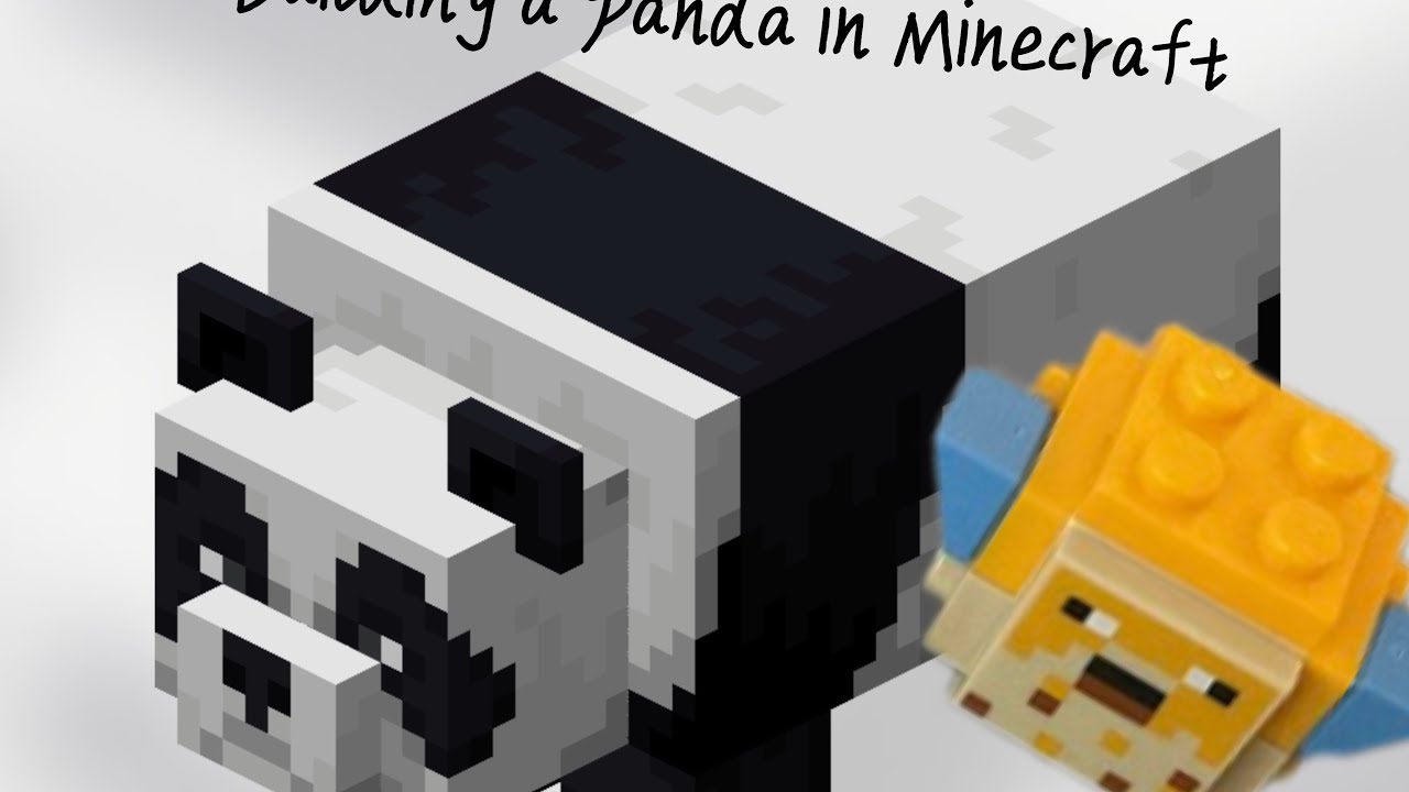 Building a panda house 