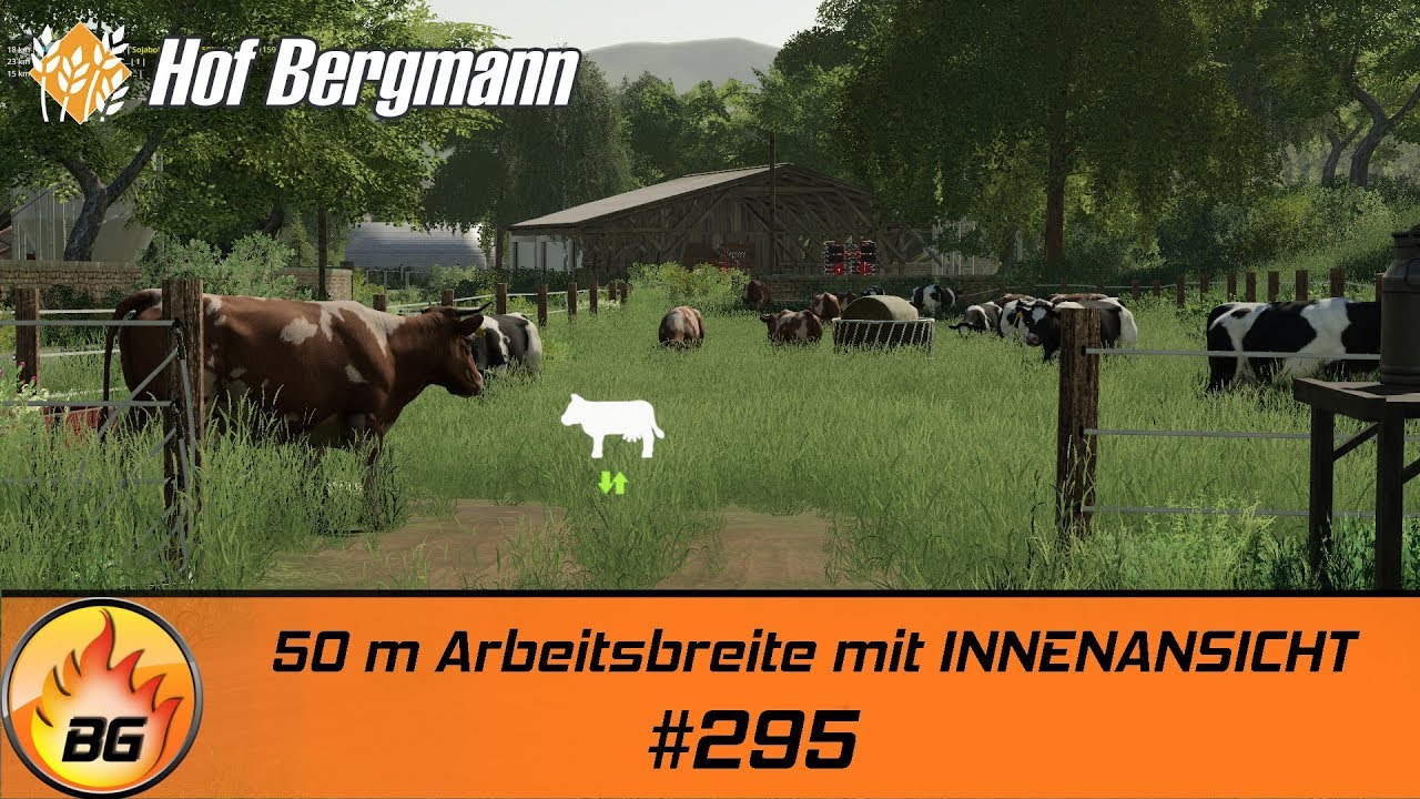 LS19 - Hof Bergmann #295 | 50 m Arbeitsbreite mit INNENANSICHT | FS19 | Let's Play [HD]