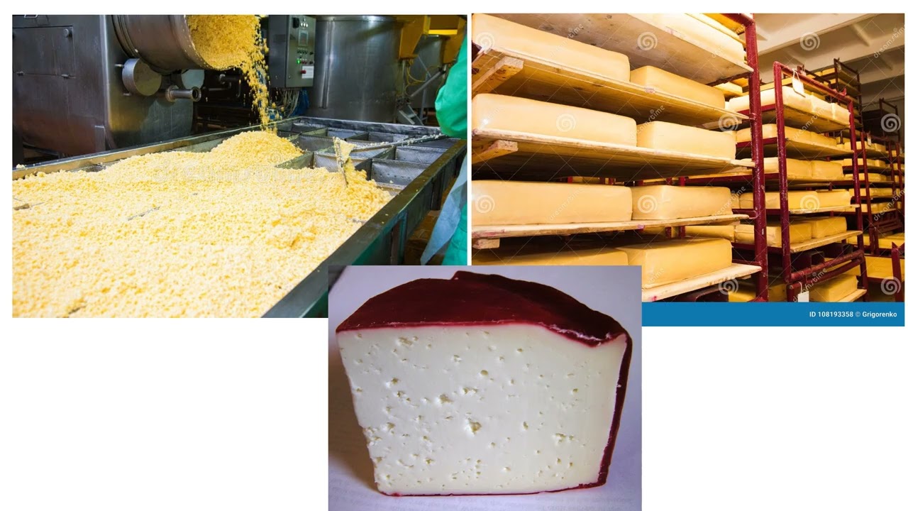 cheese summary session