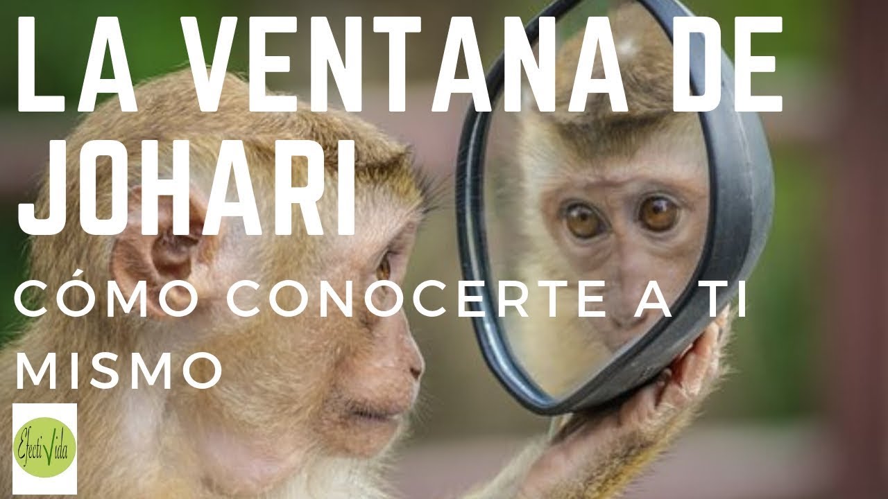 La ventana de Johari : cómo conocerse a uno mismo