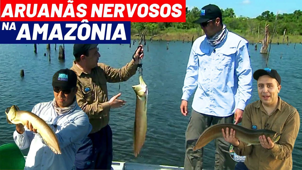 PESCARIA DE ARUANÃ ESSE PEIXE AMAZÔNICO É VORAZ E BOM DE BRIGA