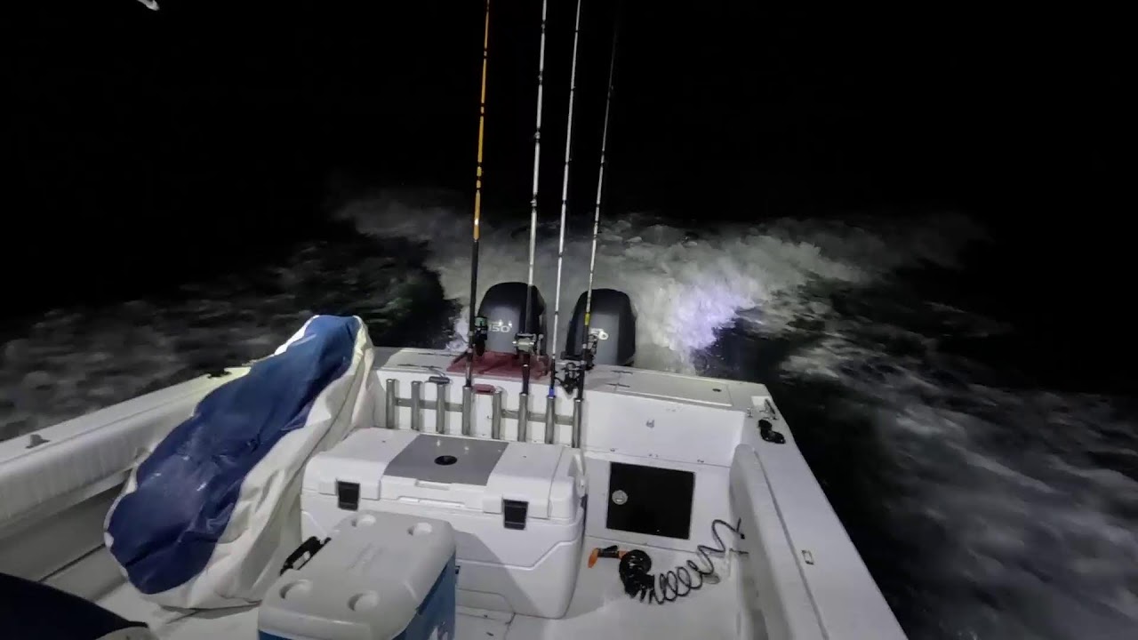 offshore overnight solo with my doggo