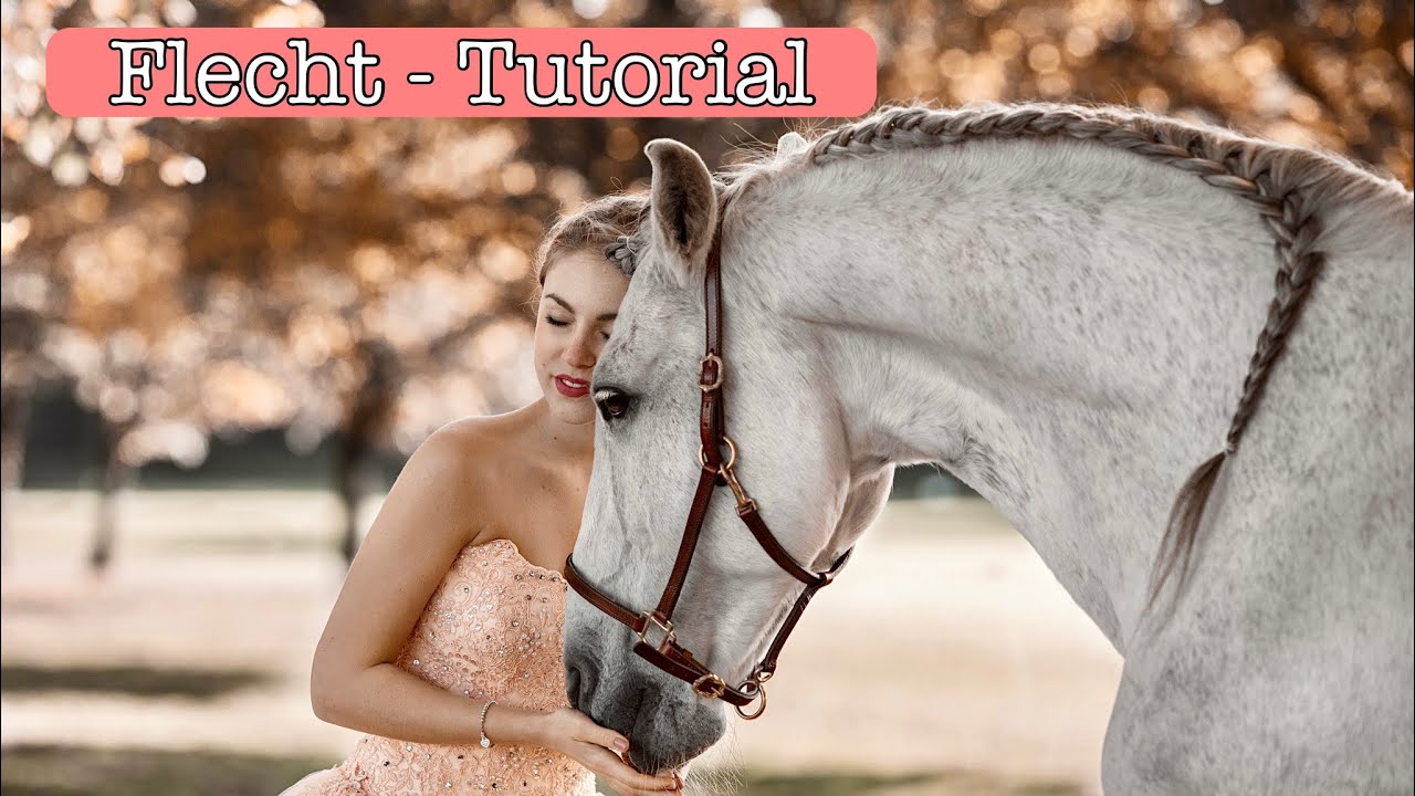 Mähne flechten | Spanischer Zopf | Tutorial