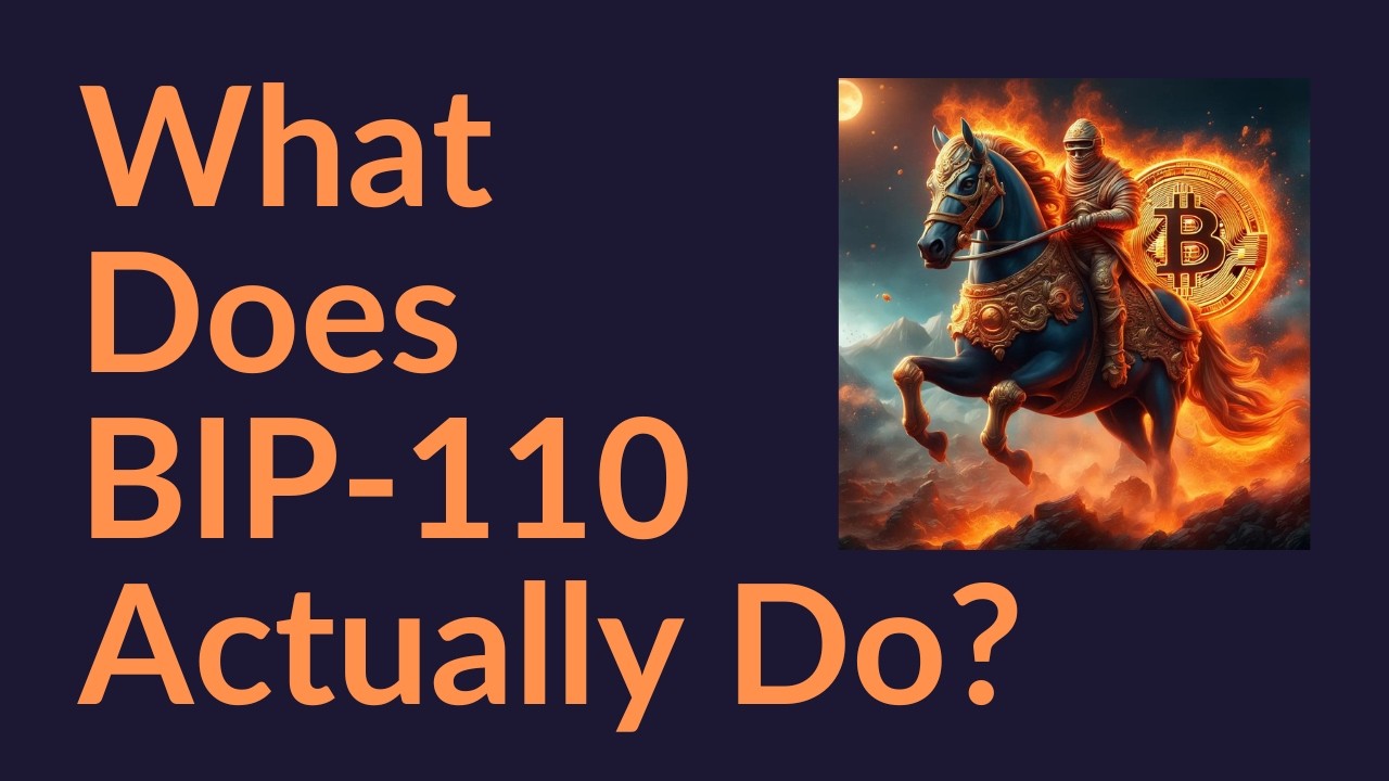 What Does BIP-110 Actually Do?