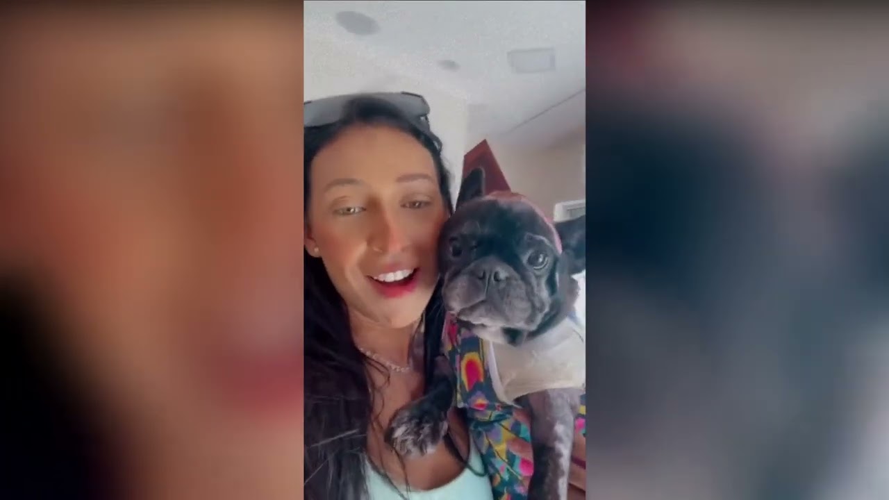 Amazing Recovery Of Pup Whose Owner Died Saving It From Apartment Inferno