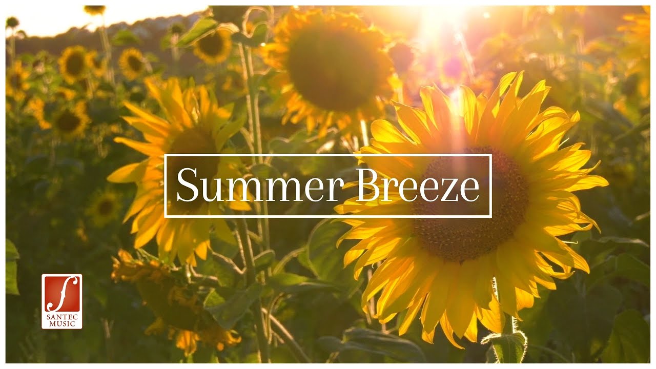 Summer Breeze  | 1,5 hours of Light Classical Melodies | Music & Full-HD Video | Santec Music