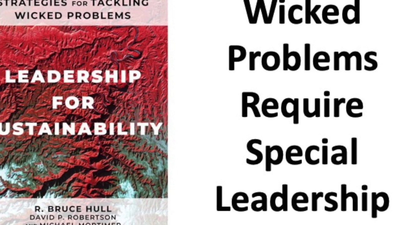 Elephant Riding (Leadership Psychology)