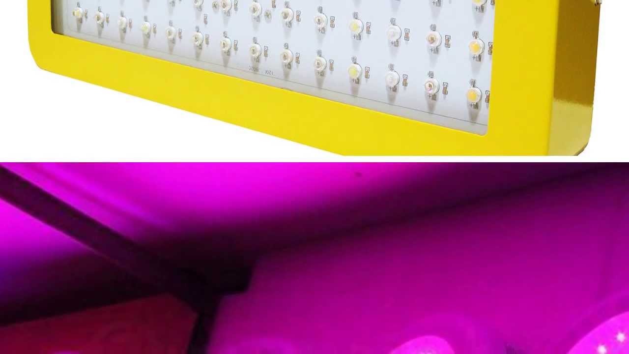 Kweeklampen kopen - led kweeklampen te koop