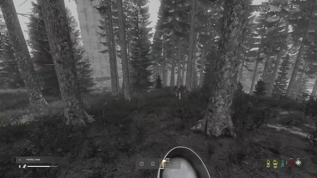 DayZ
