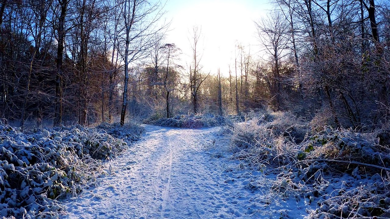 A Snowy Walk Ending With A Cold Winter Sunset