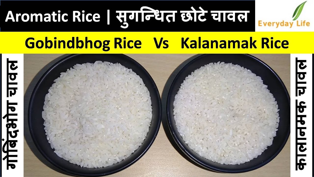 Aromatic Rice | सुगन्धित छोटे चावल | Gobindbhog Vs Kalanamak Rice | Non-Basmati Rice | #122