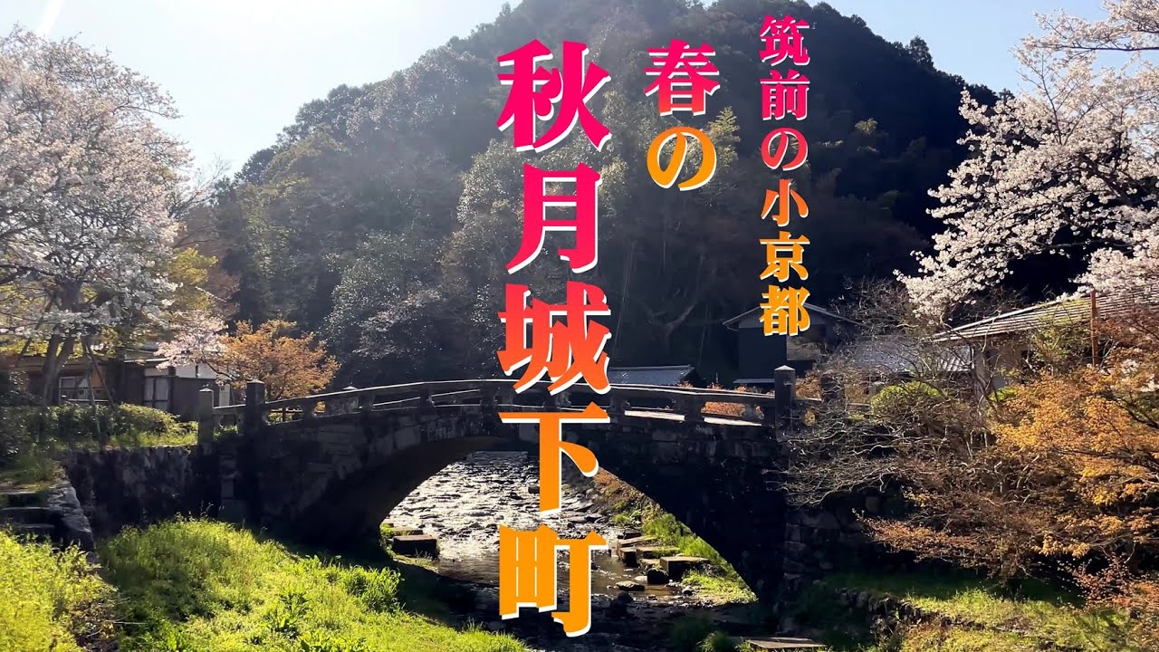 「筑前の小京都」春の秋月城下町をご案内します。