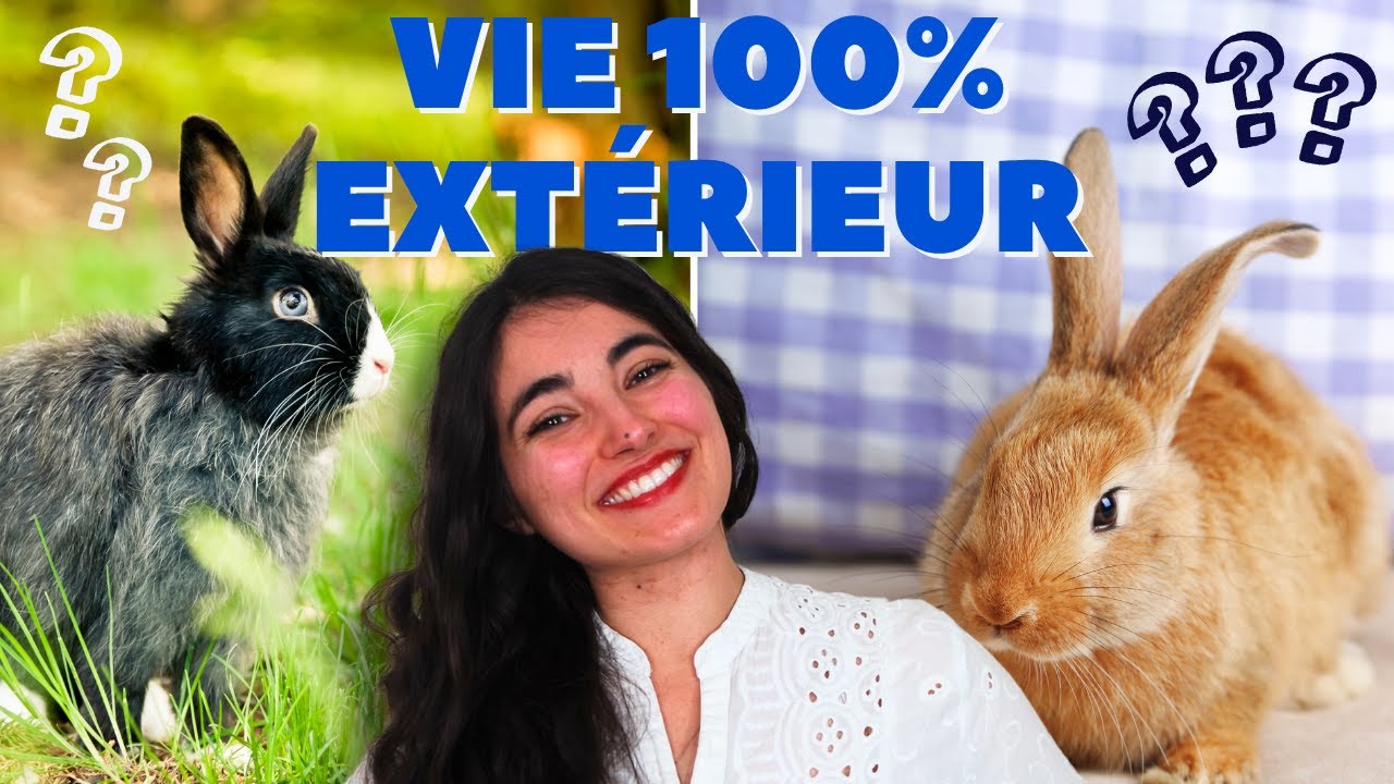 LAPIN 100% DEHORS ☀️❄️Possible ou Dangereux ?😨