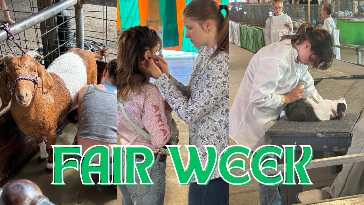 Inside the Busy Life of a 4-H Mom at the Fair!